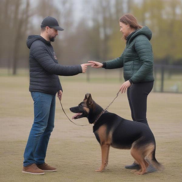 Evaluating a Dog's Temperament for Protection Training