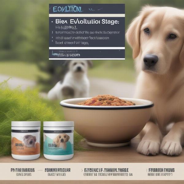 Evolution Diet for Different Dog Life Stages