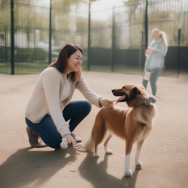 Dog owner interacting with their dog at a Fife secure dog park