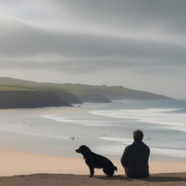 Dog enjoying the view at Fistral Beach