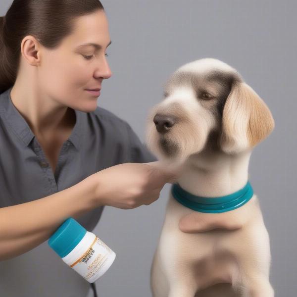 Applying Flea Spot-on Treatment to a Dog