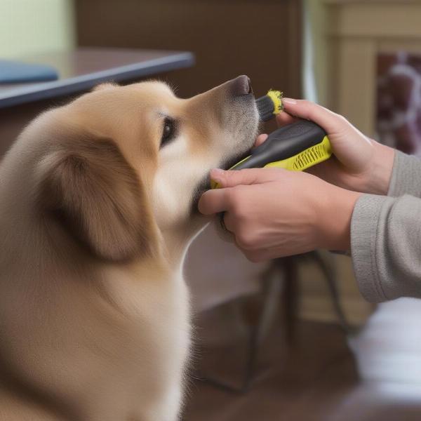 Furminator dog deshedding tool in action