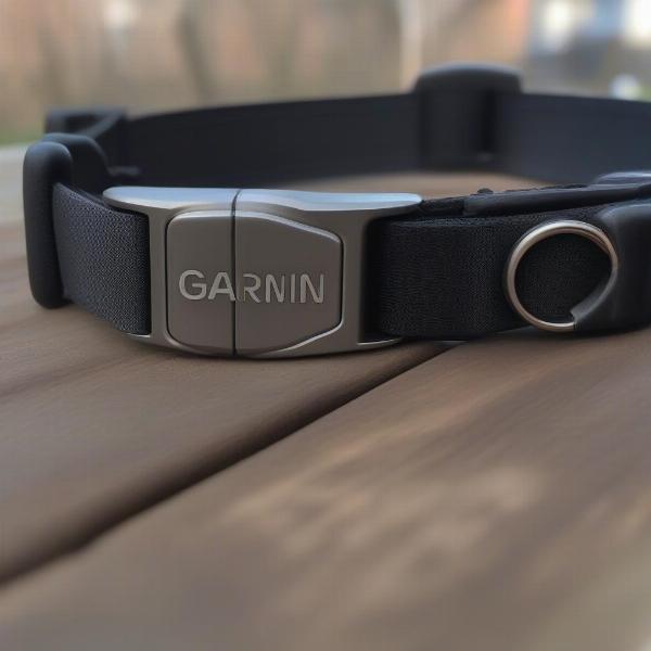 Identifying Garmin Dog Collar Model Number