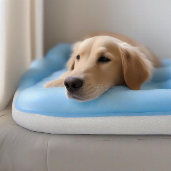 Gel Infused Dog Cooling Bed