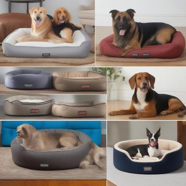 Different Types of George Barclay Dog Beds