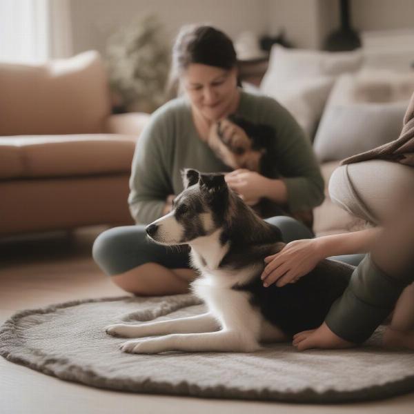 Introducing a rescue dog to its new home