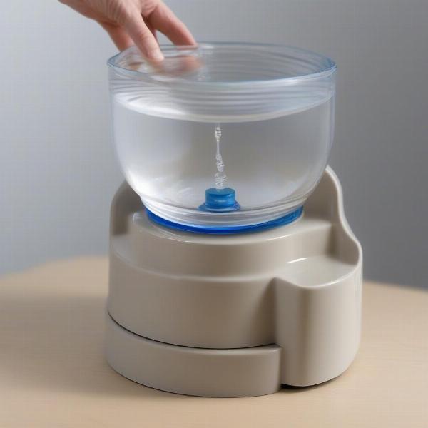 Gravity-fed dog bowl with water reservoir