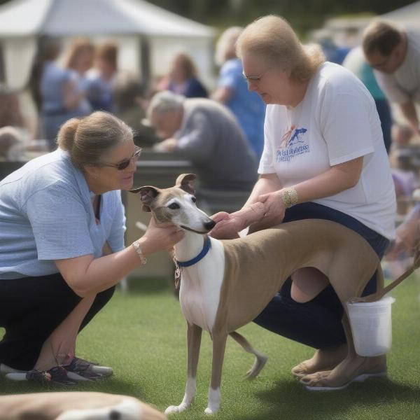 Greyhound Adoption Event