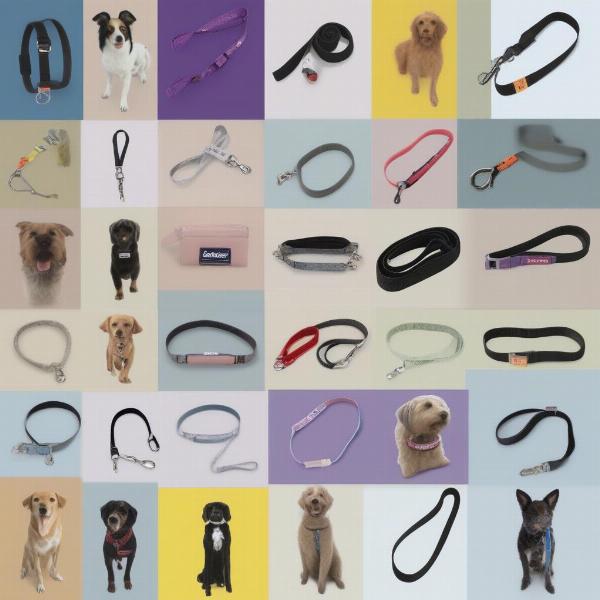 Popular Hands-Free Dog Lead Brands in the UK