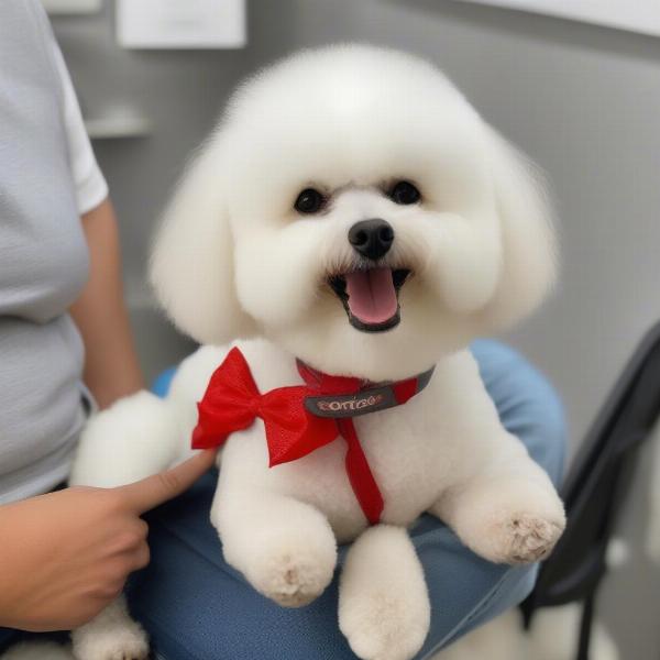 Happy Dog After Mobile Grooming in Richmond, VA