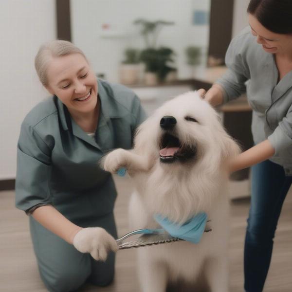 Happy Dog Being Groomed