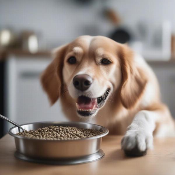 A Happy Dog Enjoying a Meal