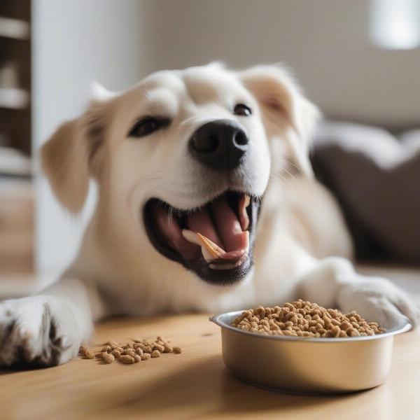 Happy Dog Eating Wishbone