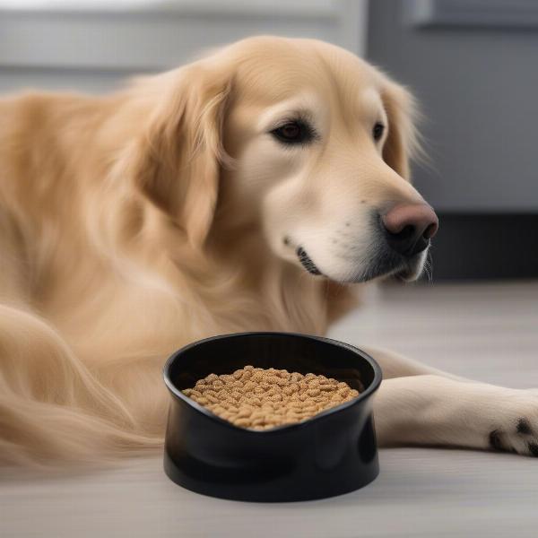 A contented dog after finishing a meal from a slow feeder