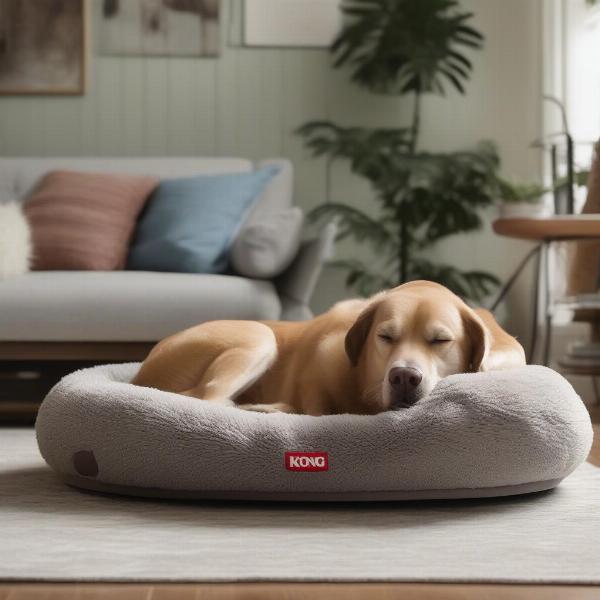 Happy Dog on Kong Bed