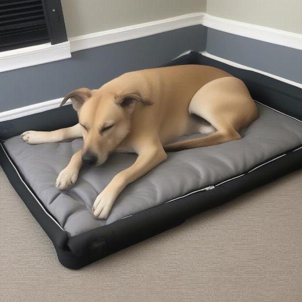 Happy Dog on Restored Bed