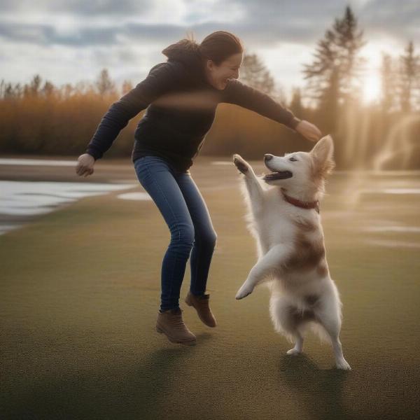 Happy dog reunited with its owner after boarding in Moncton