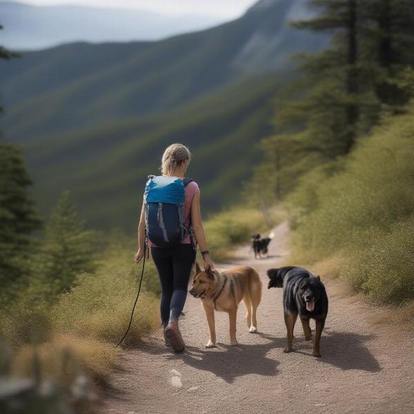 Hiking with dog and travel bowl