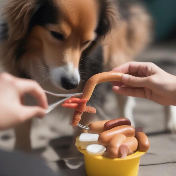 Feeding a Dog with Hot Dog Tongs