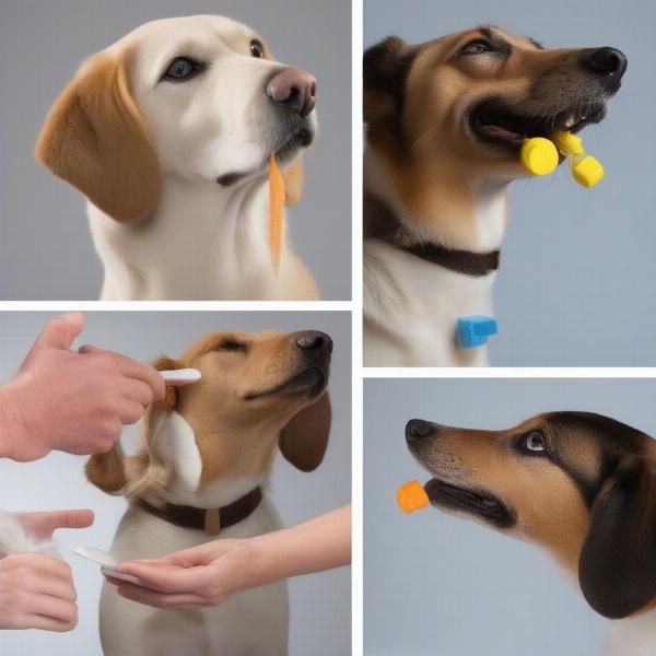 How to Give Dog Worming Tablets