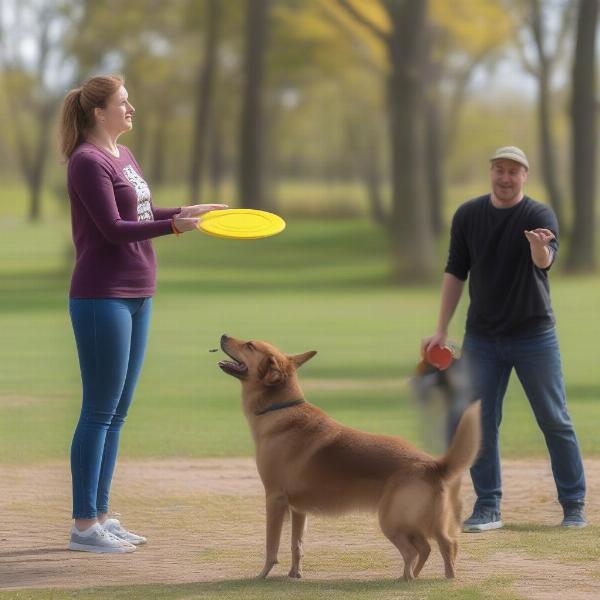 Training a dog to play frisbee