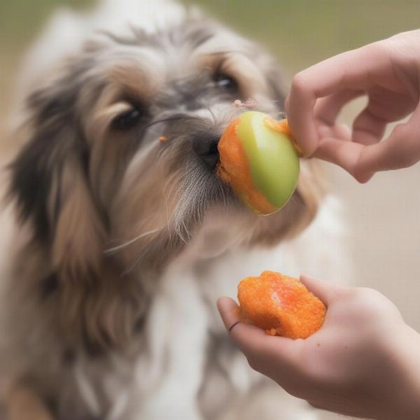 Training a dog not to eat fly eggs