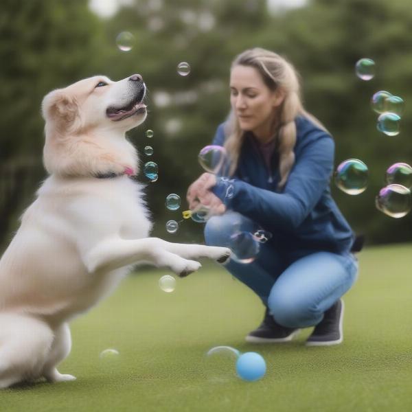 Training a dog with bubbles