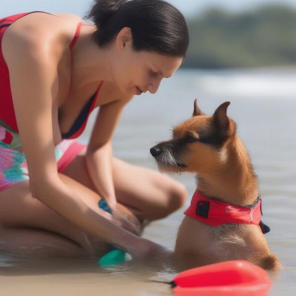 Guiding a dog into swim trunks