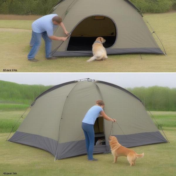 Setting up a dog tent