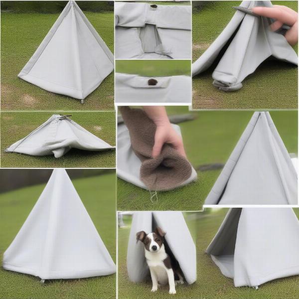 Setting Up and Maintaining a Dog Teepee