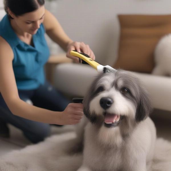 Grooming a Dog Before Applying Hydra Dog Cologne