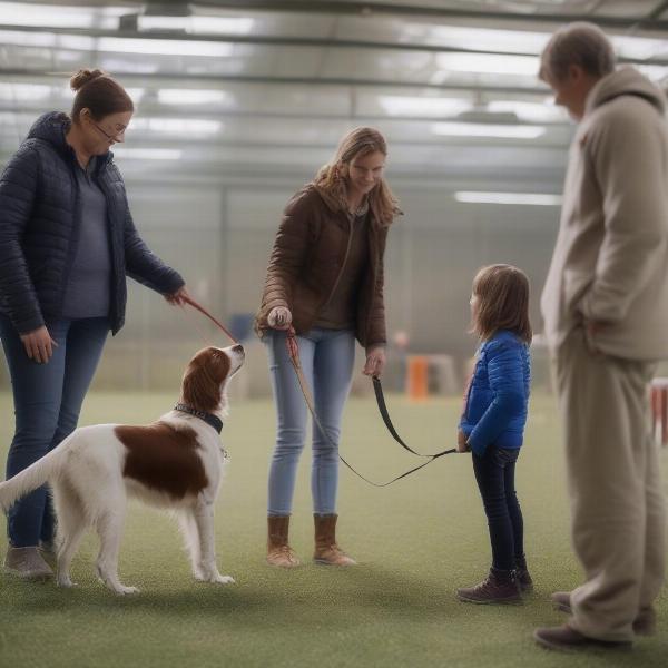 Illinois Bird Dog Rescue: Meeting Potential Adopters