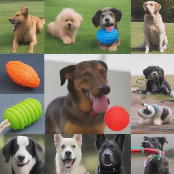 Variety of Indestructible Dog Toys