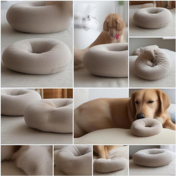 Integrating Dog Donut Pillow into Routine