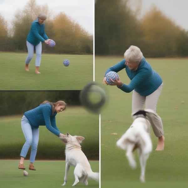 Introducing an active rolling ball to a dog