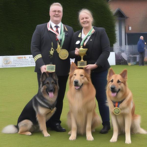 Irish Dog Show Winners: A Golden Retriever and a German Shepherd proudly display their rosettes.