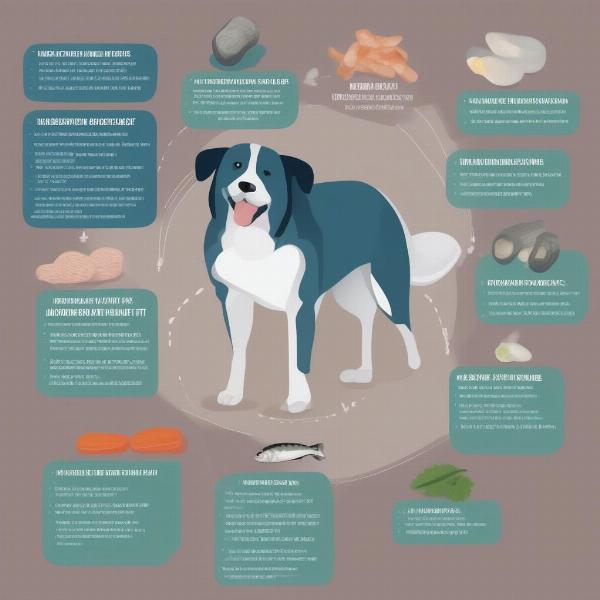 Key Ingredients in Effective Dog Joint Supplements available in New Zealand