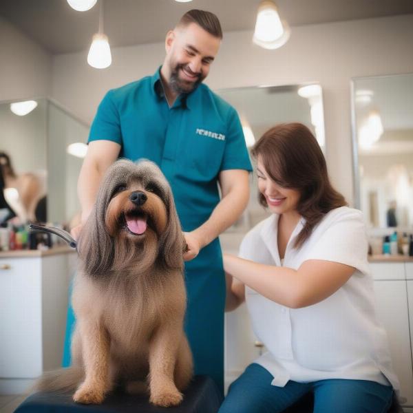 Safe and Comfortable Dog Grooming Experience