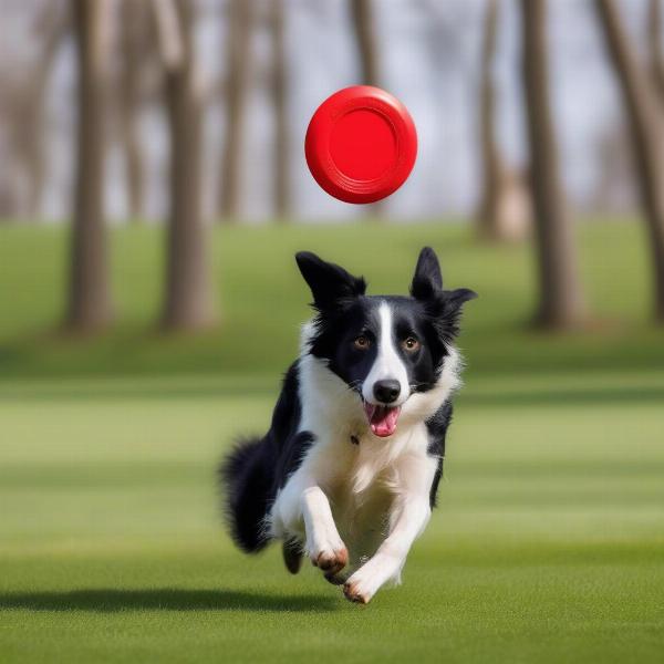 A dog leaping to catch a Kong frisbee mid-air in a park.