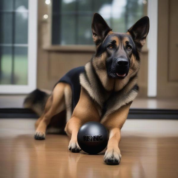 Kong Extreme Ball for Large Dog