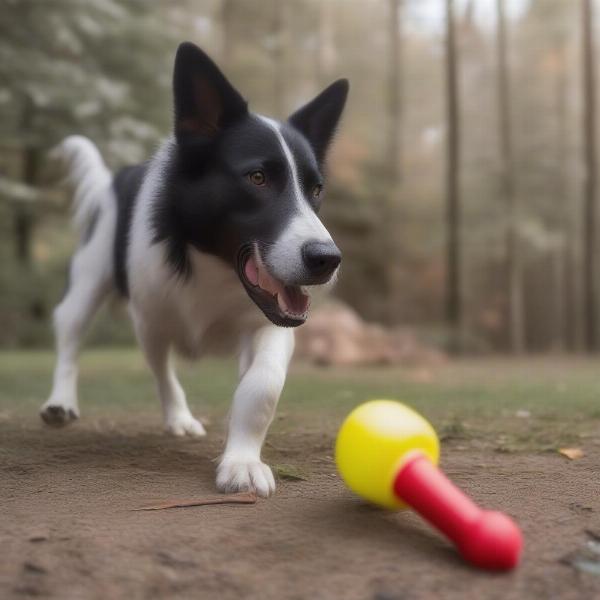 Kong toy safety tips for large dogs