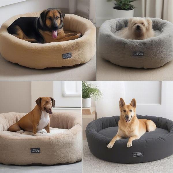 Different Types of Dog Beds Available for Large Dogs in Australia