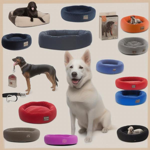 Lazy Dog Product Range: Beds, Leashes, and Toys