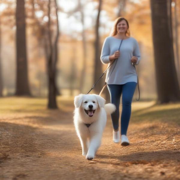 Dog on a leash in Morgan County Park