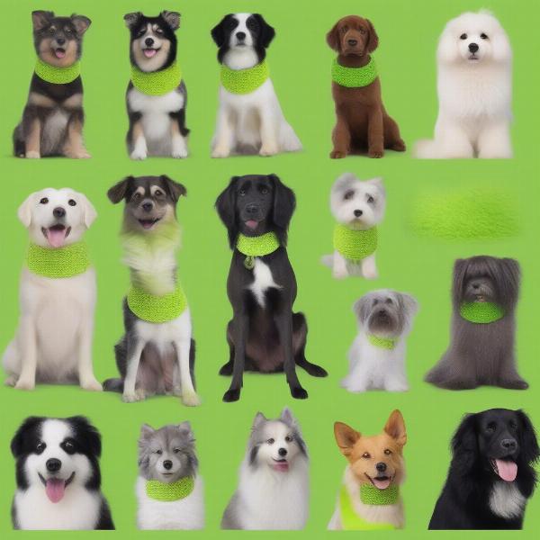 Lime Green Collars on Different Dog Breeds