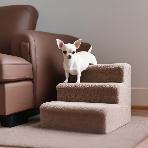 Little stairs for small dogs helping them reach the sofa