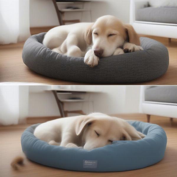 Benefits of a large round dog bed