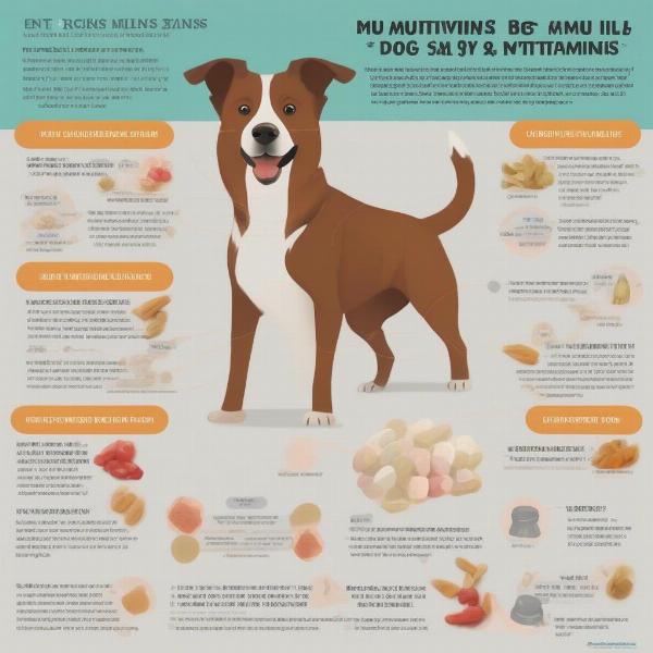 Benefits and Risks of Dog Multivitamins