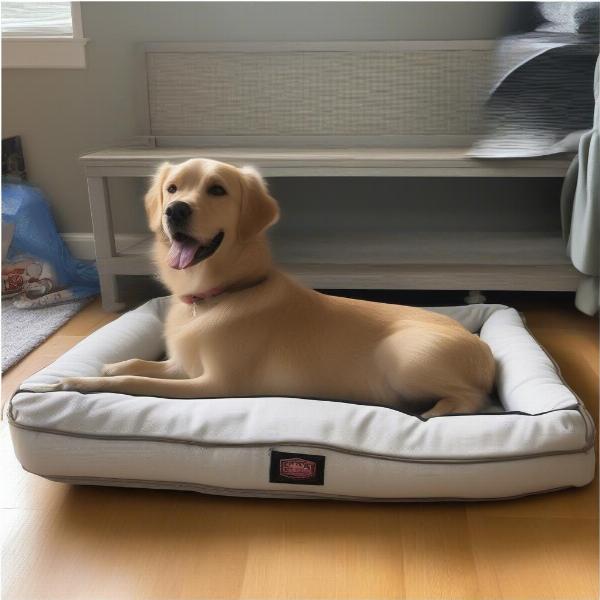 Measuring a Dog Bed for a Replacement Cover