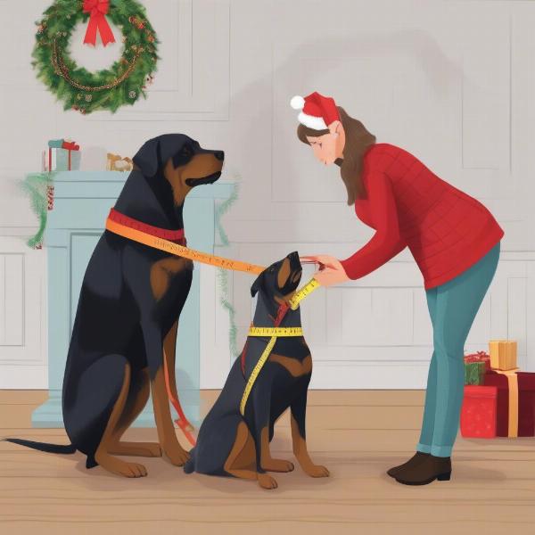 Measuring a large dog for a Christmas outfit